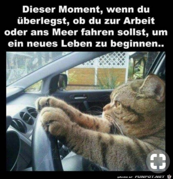 Fahrt in die Arbeit