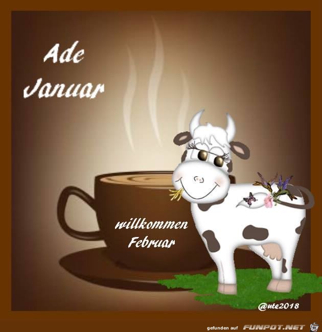 Ade Januar Ade Januar