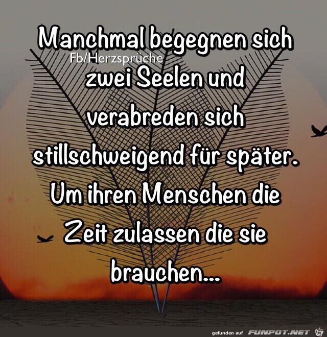 Zwei Seelen Zwei Seelen