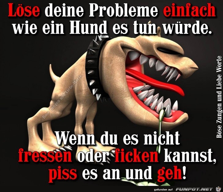 Probleme loesen Probleme loesen