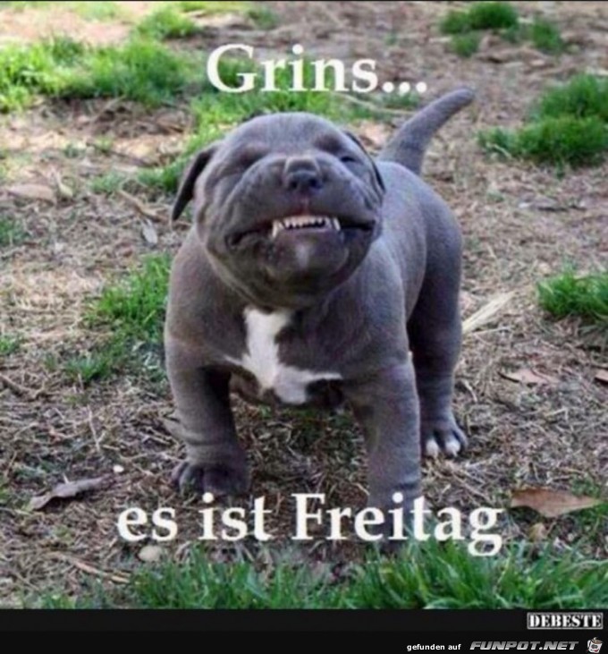 Freitag.......