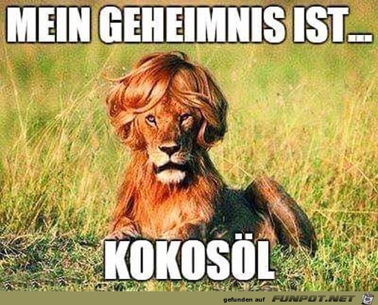 Mein Geheimnis Mein Geheimnis