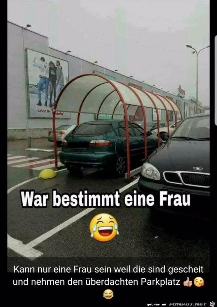 Wie die Frau parkt