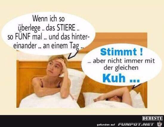 Stiere tun es so 5 mal am Tag....