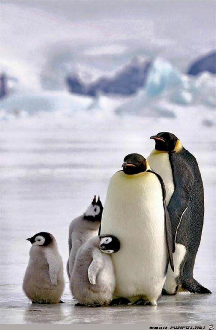 Wonderful world Wonderful world