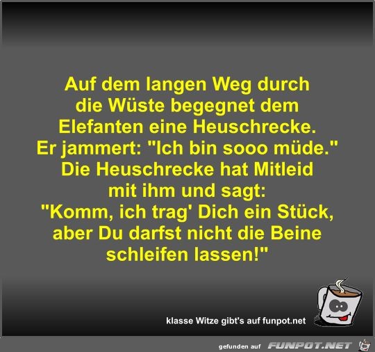 Auf dem langen Weg durch die Wüste begegnet dem Elefanten... Auf dem langen Weg durch die Wüste begegnet dem Elefanten...