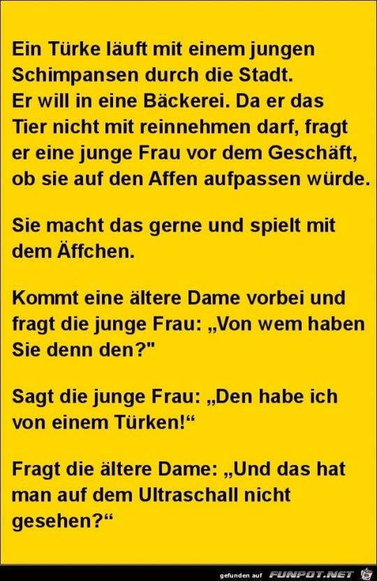 ein Türke und ein Schimpanse....... ein Türke und ein Schimpanse.......