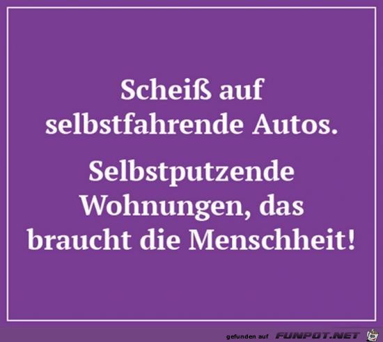 Scheiss auf selbstfahrende Autos.......