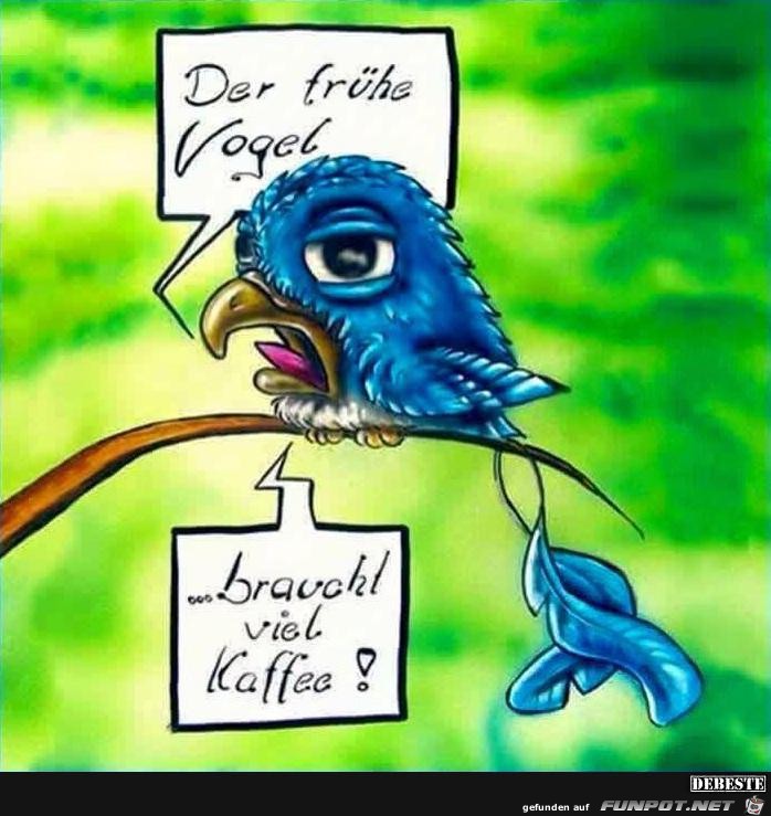 der frhe Vogel.......