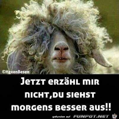Aussehen am Morgen könnte besser sein... Aussehen am Morgen könnte besser sein...