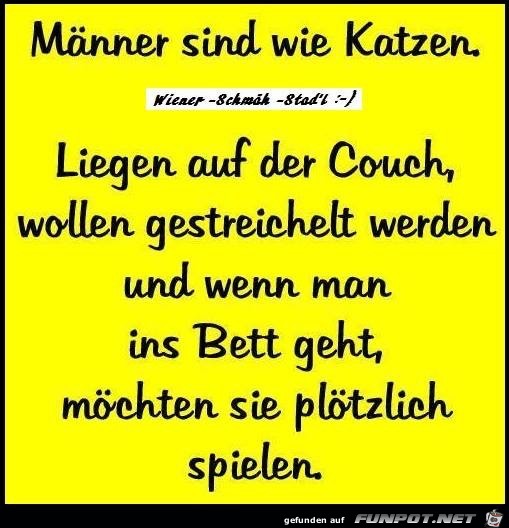 Männer sind wie Katzen Männer sind wie Katzen
