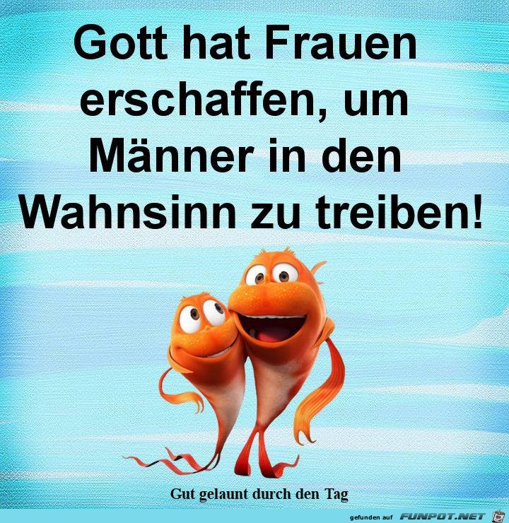 Gott hat Frauen erschaffen