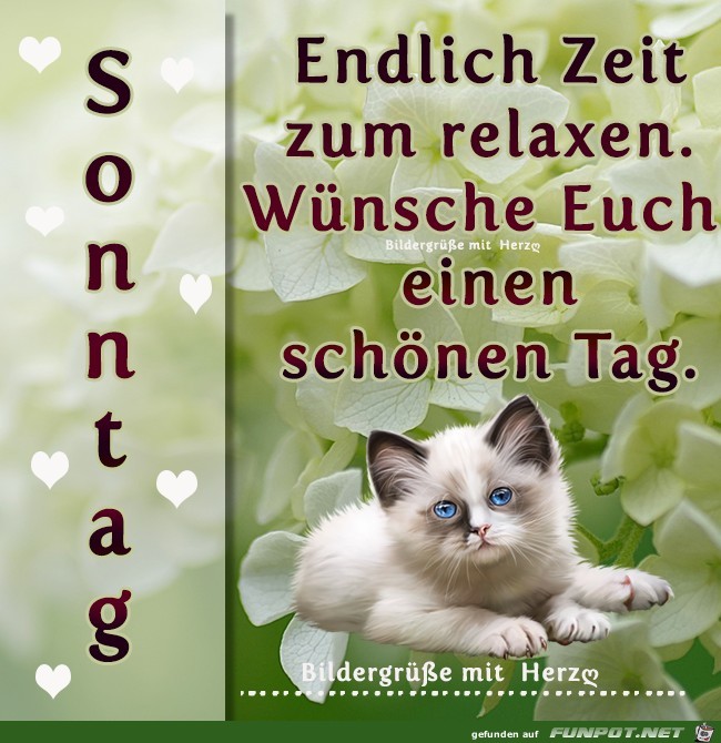 Endlich Zeit zum relaxen Endlich Zeit zum relaxen