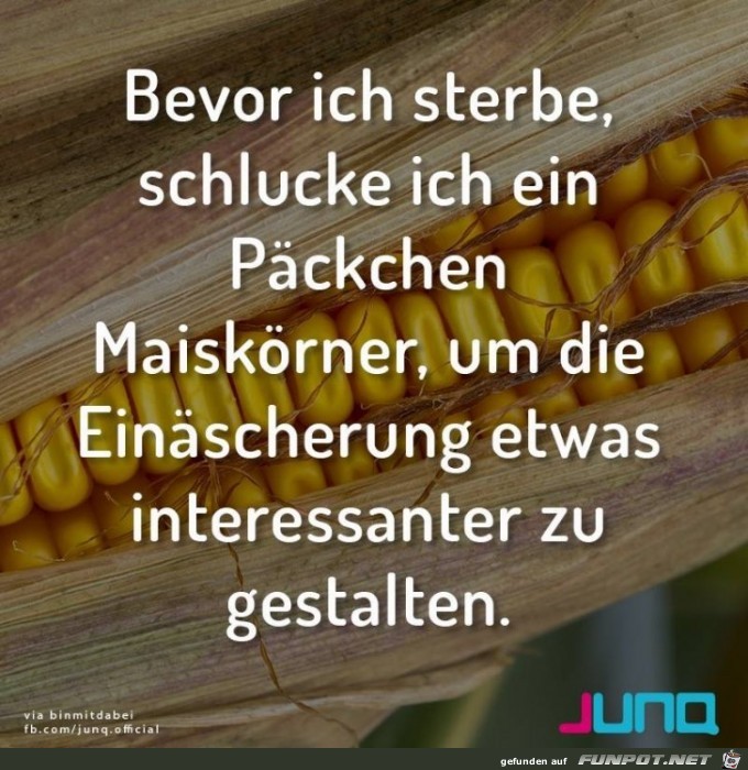 Bevor ich sterbe Bevor ich sterbe
