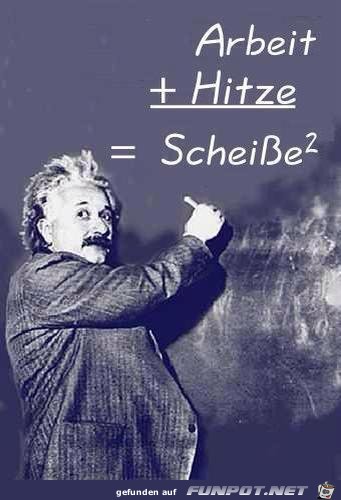 Einstein Einstein
