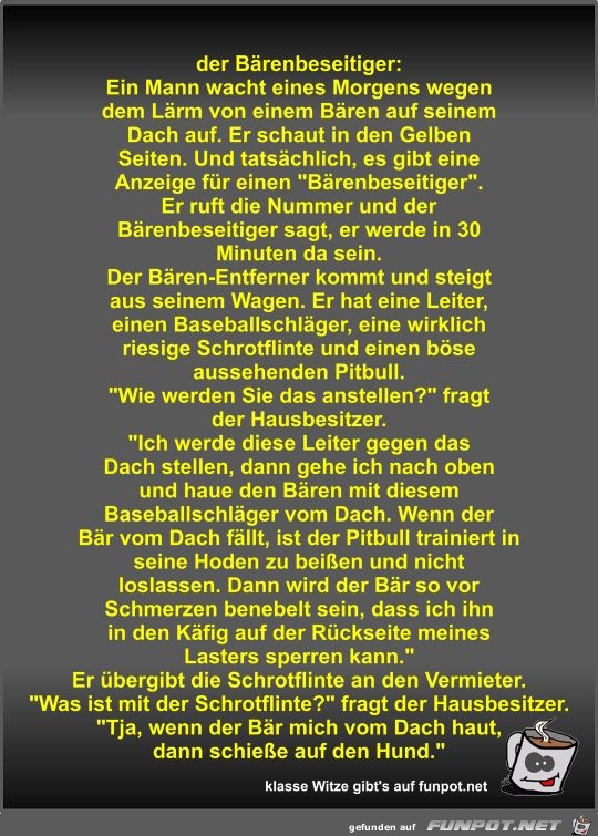 der Bärenbeseitiger der Bärenbeseitiger