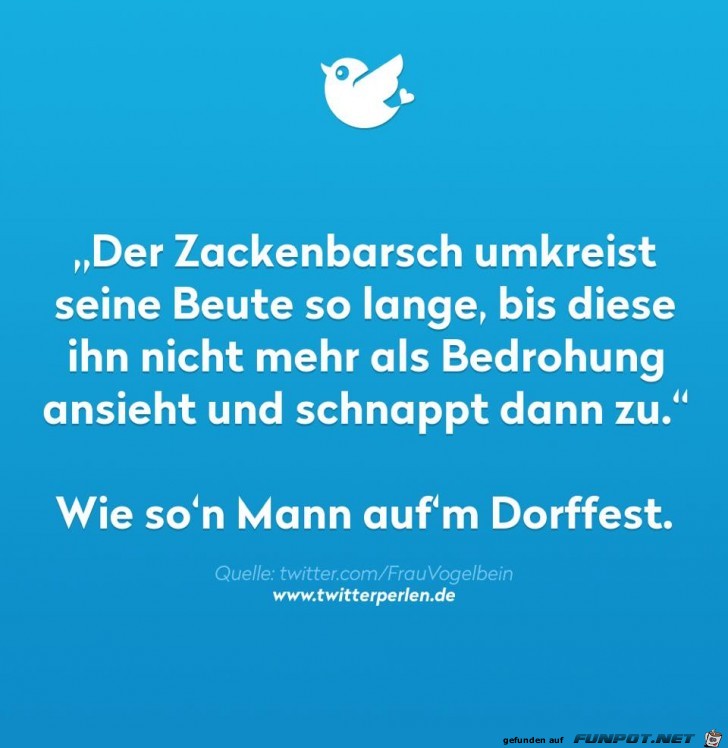 Der Zackenbarsch