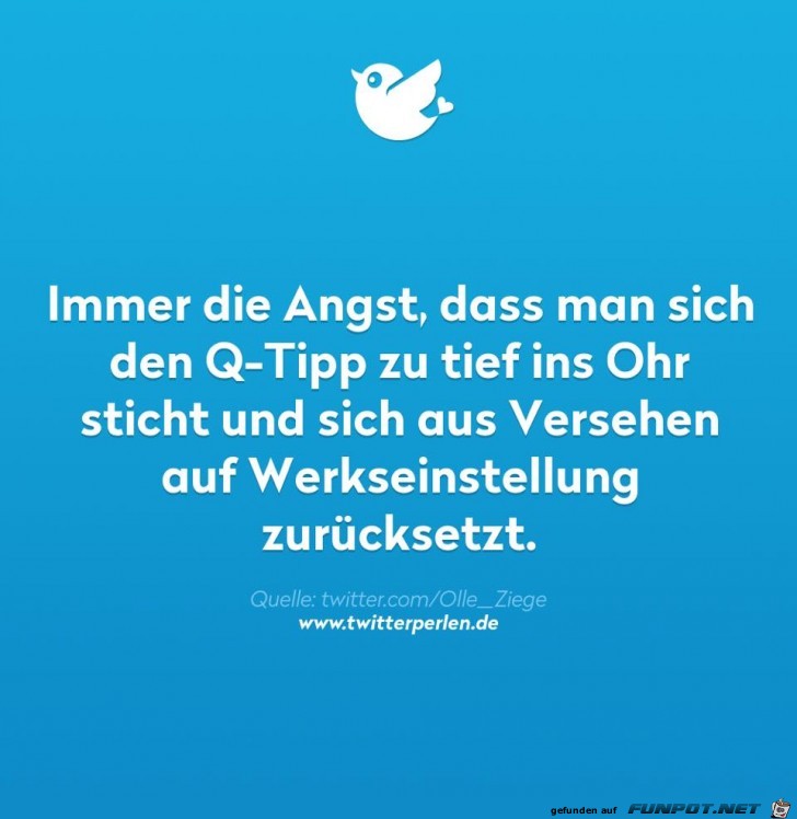Q-Tipp Q-Tipp