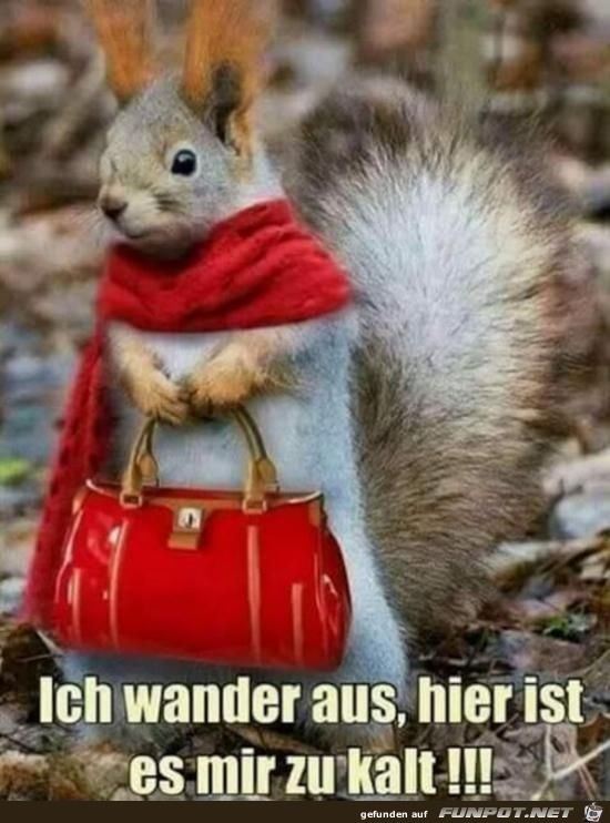 ich wander aus.......