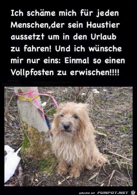 Schaeme mich fuer jeden Schaeme mich fuer jeden