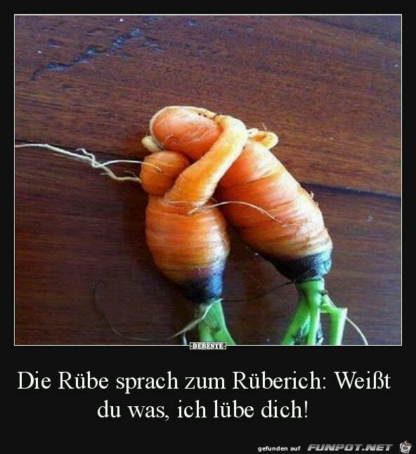die Rübe die Rübe