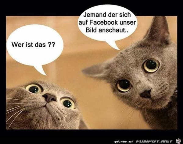 Wer ist das ? Wer ist das ?