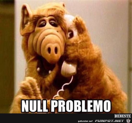 Null Problemo Null Problemo