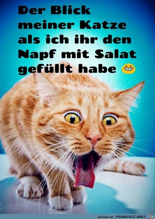 Der Blick Der Blick
