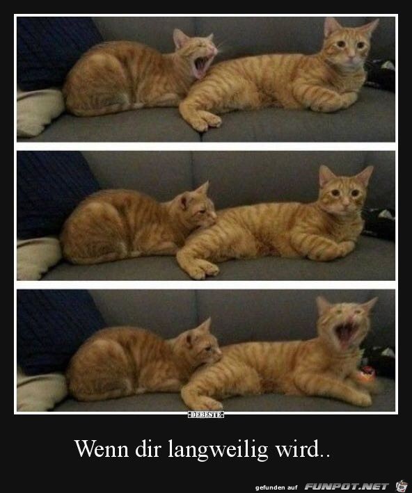 Wenn dir langweilig wird Wenn dir langweilig wird