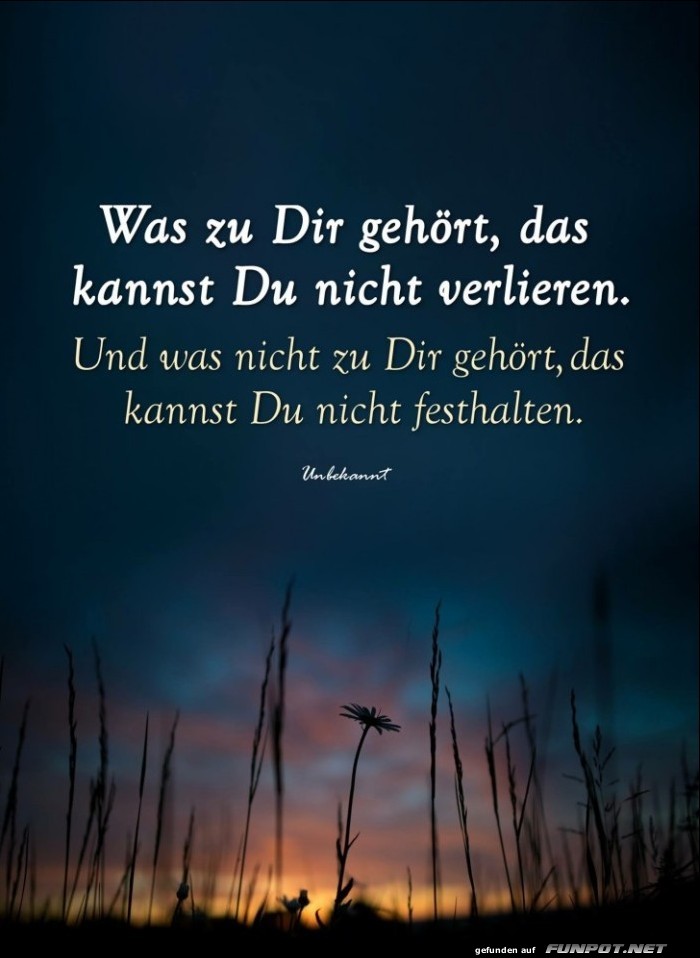 10 schöne Sprüche und Lebensweisheiten aus... 10 schöne Sprüche und Lebensweisheiten aus...