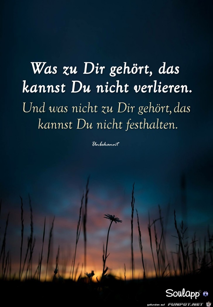 IWas zu dir gehört.... IWas zu dir gehört....
