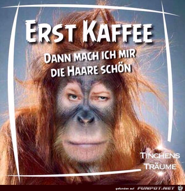 Erst Kaffee