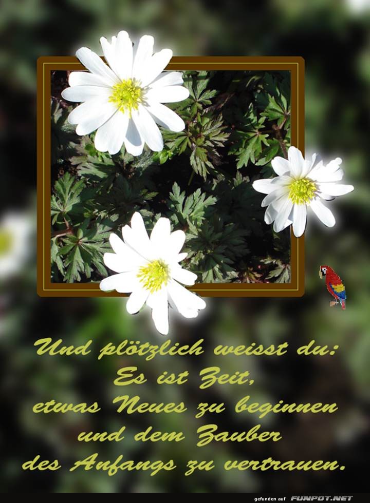 Und ploetzlich... Und ploetzlich...