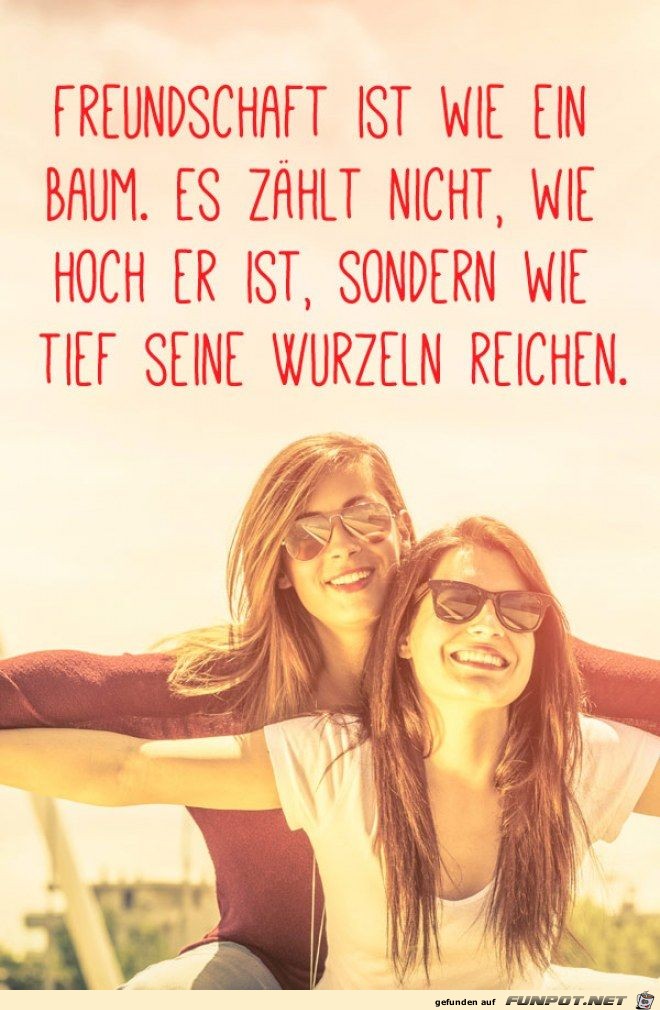 Freundschaft ist wie ein Baum......