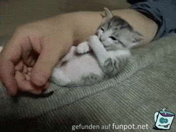 Wie süß Wie süß