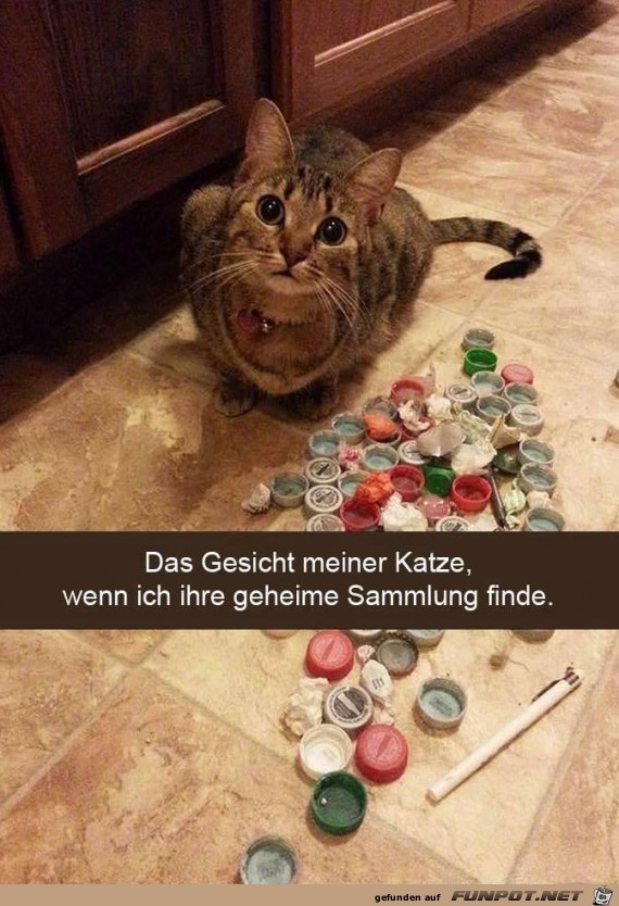 Wo hast du das her Wo hast du das her