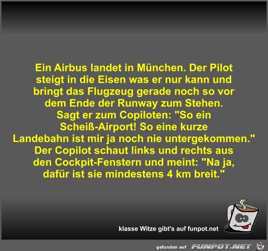 Ein Airbus landet in Mnchen