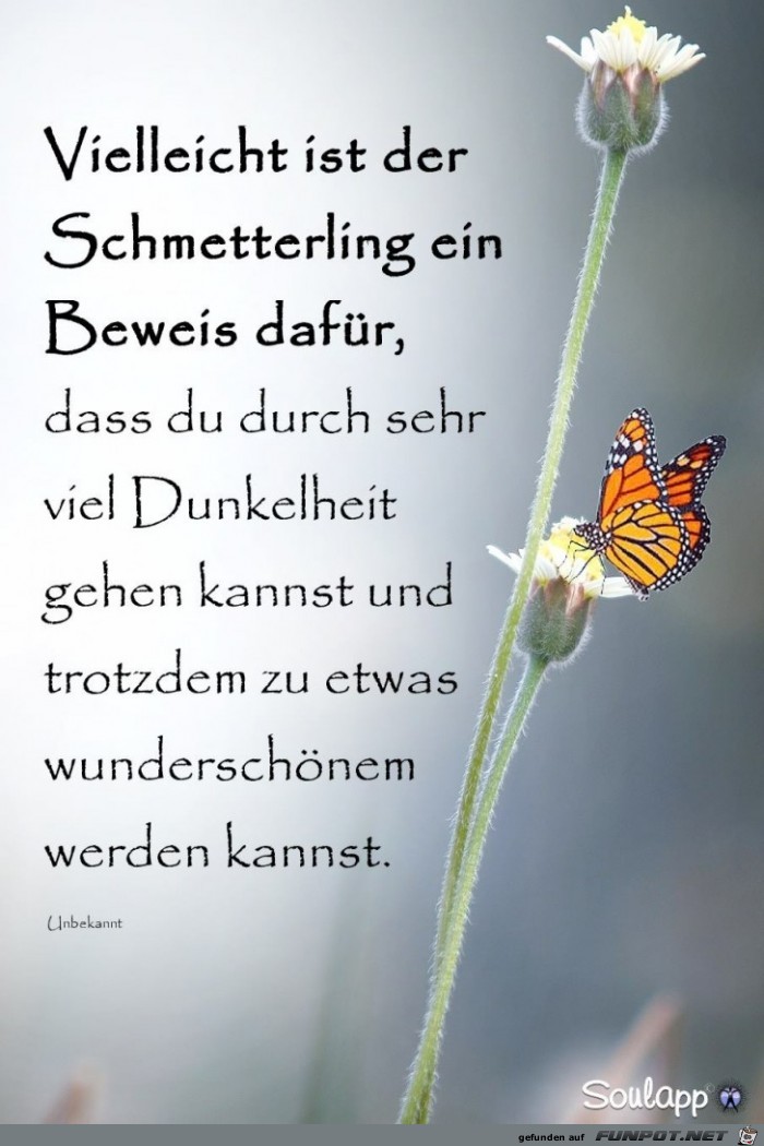 Der Beweis dafr