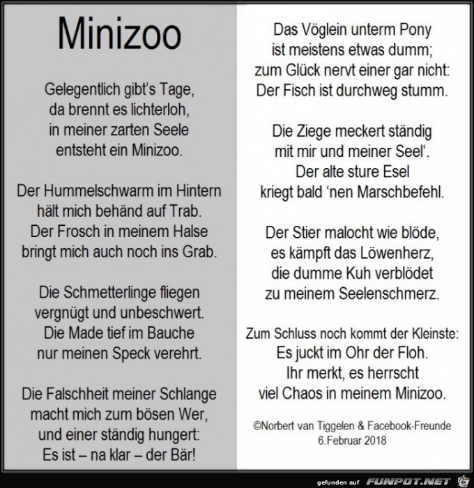 Minizoo 2018 Minizoo 2018