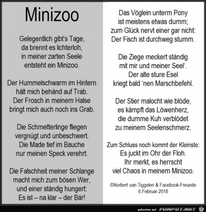 Minizoo 2018