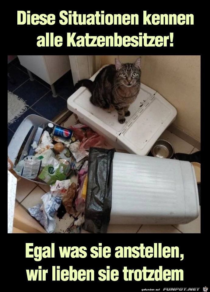 Diese Situationen