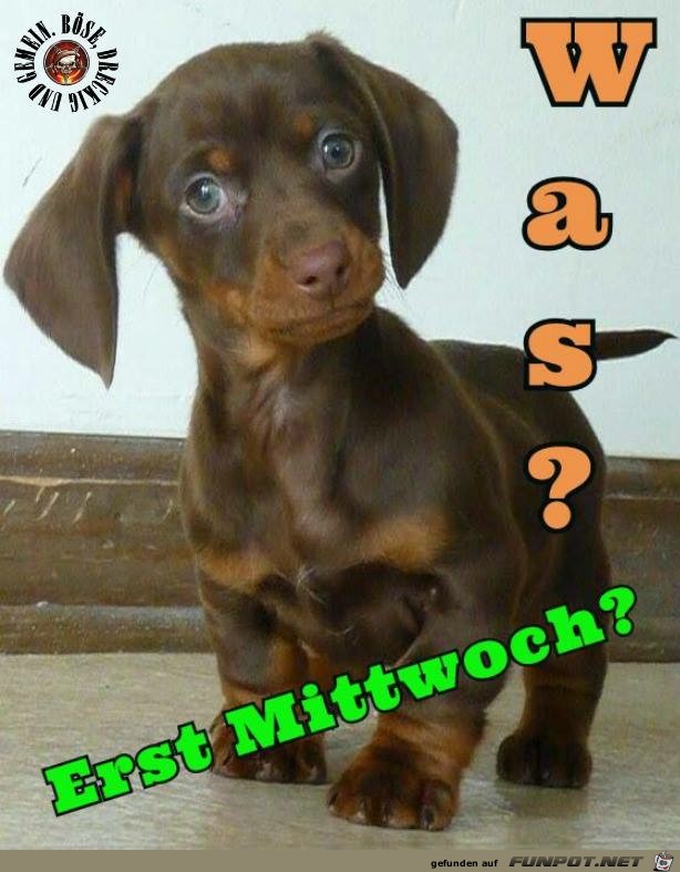 Erst Mittwoch? Erst Mittwoch?