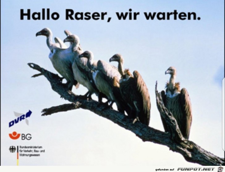 Hallo Raser Hallo Raser