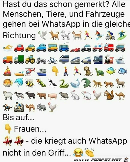 Immer die Frauen