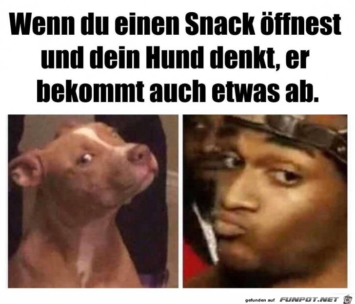 Ich will auch was haben Ich will auch was haben