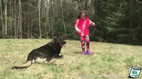 Super Hund Super Hund