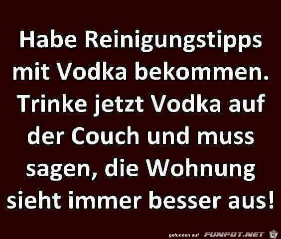 Reinigungstipps mit Vodka