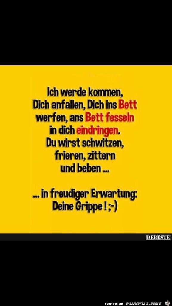 Deine Grippe....