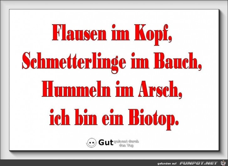 Flausen im Kopf Flausen im Kopf