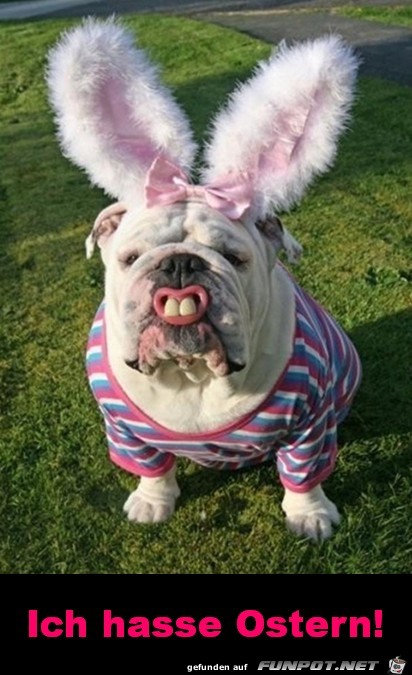 Ostern mag ich nicht Ostern mag ich nicht